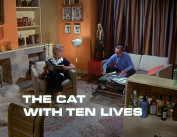 UFO The Cat with Ten Lives
