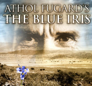 Athol Fugard The Blue Iris - click for link