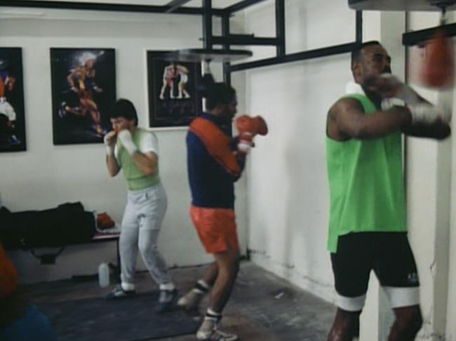 Percy & Thunder boxers in gym