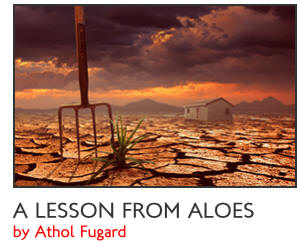 Athol Fugard A Lesson from Aloes